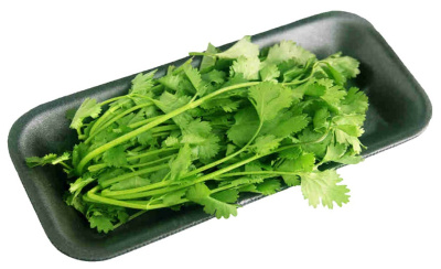 Кинза свежая SPAR 30г