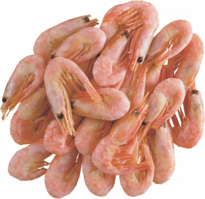 Креветка северная в/м вес