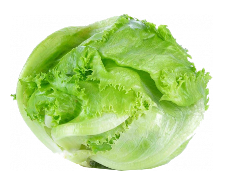 Салат Айсберг фермерский 1шт Калининградская область