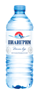 Вода питьевая Пилигрим негаз 0,5л